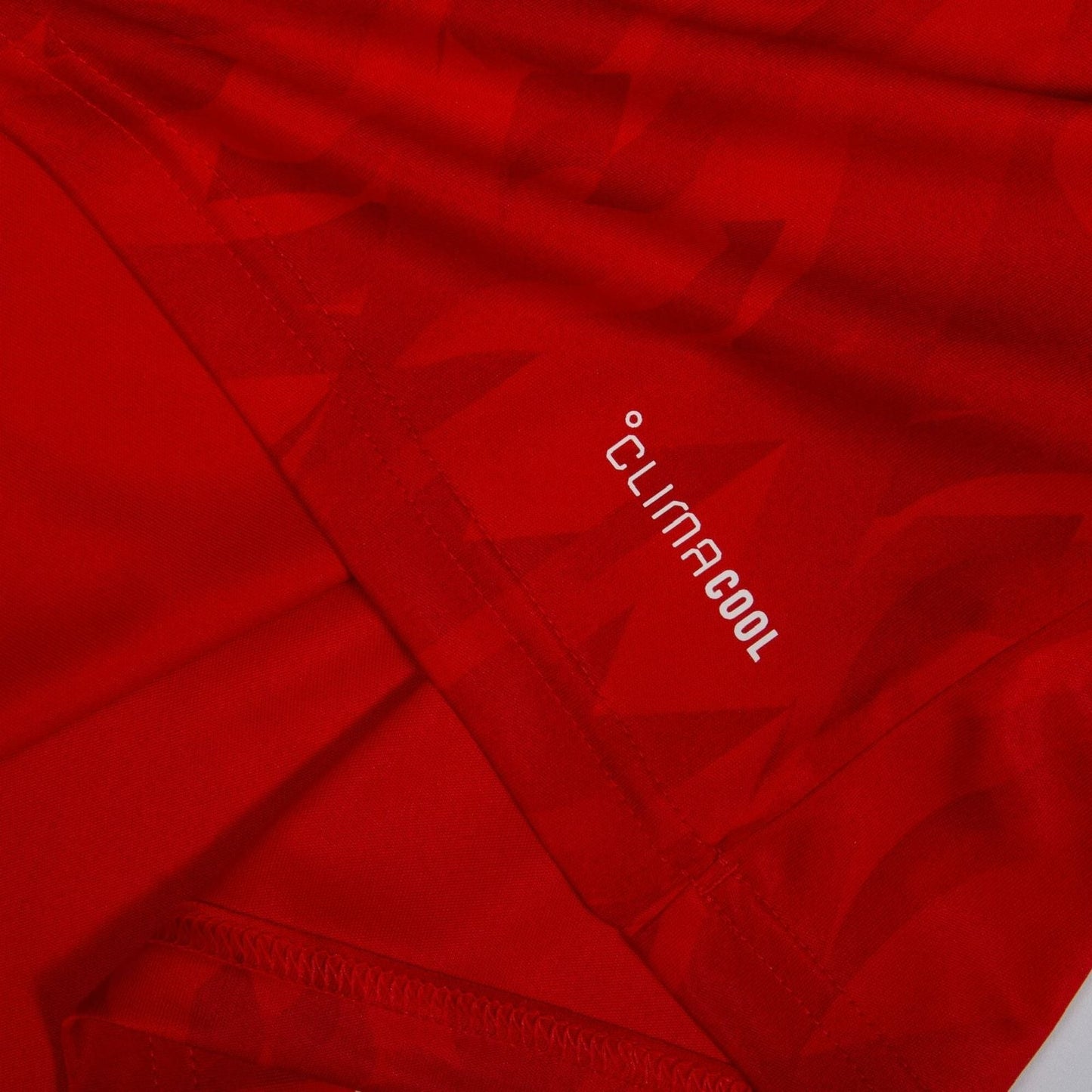 Belgium I Jersey 2025/26 Fan Version