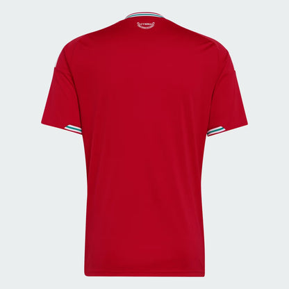 Wales 26 Home Jersey World Cup 2026 - Fan Version