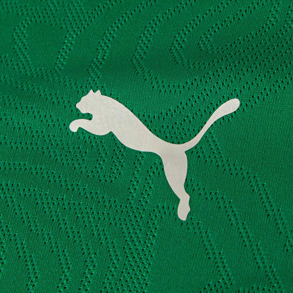 Jersey Fluminense Training Sport Green 2026
